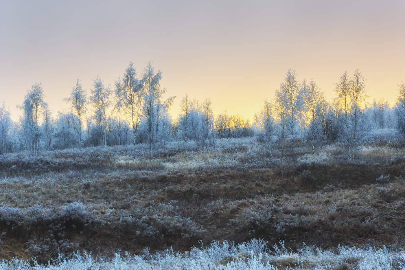 Предзимний рассвет