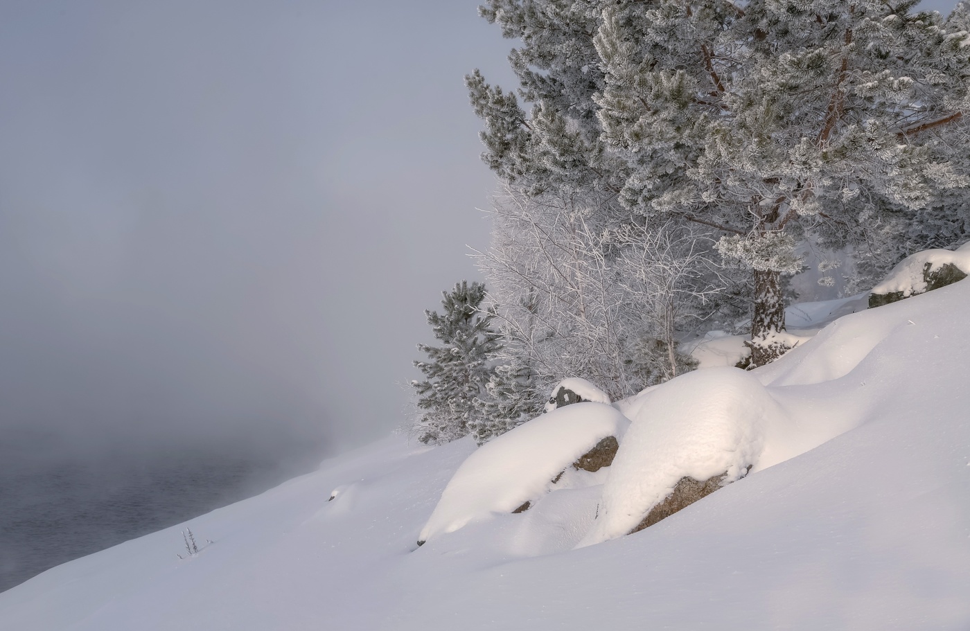 Морозный берег реки