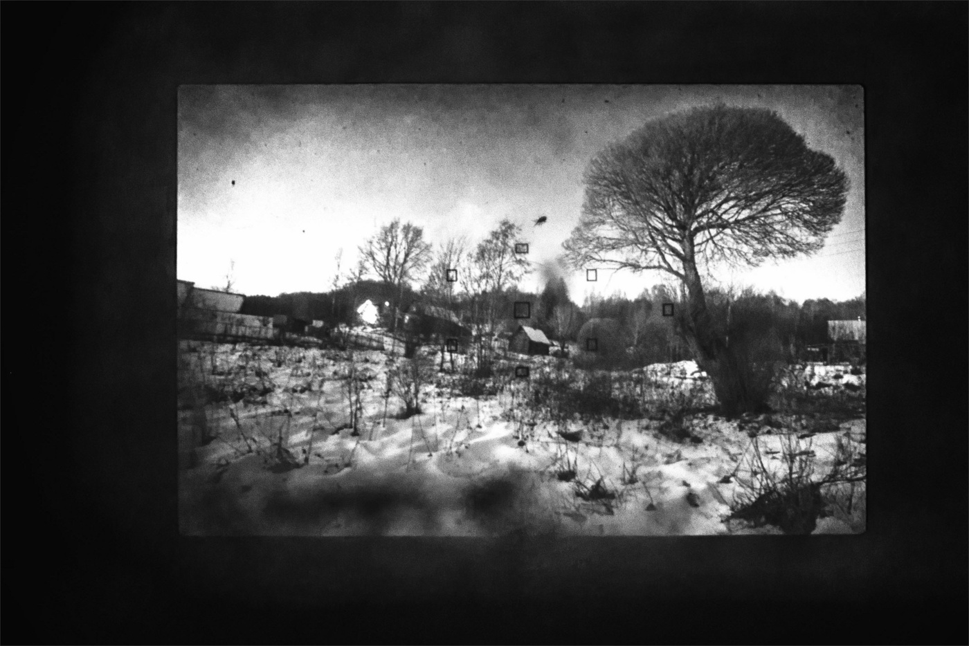 Жизнь вокруг