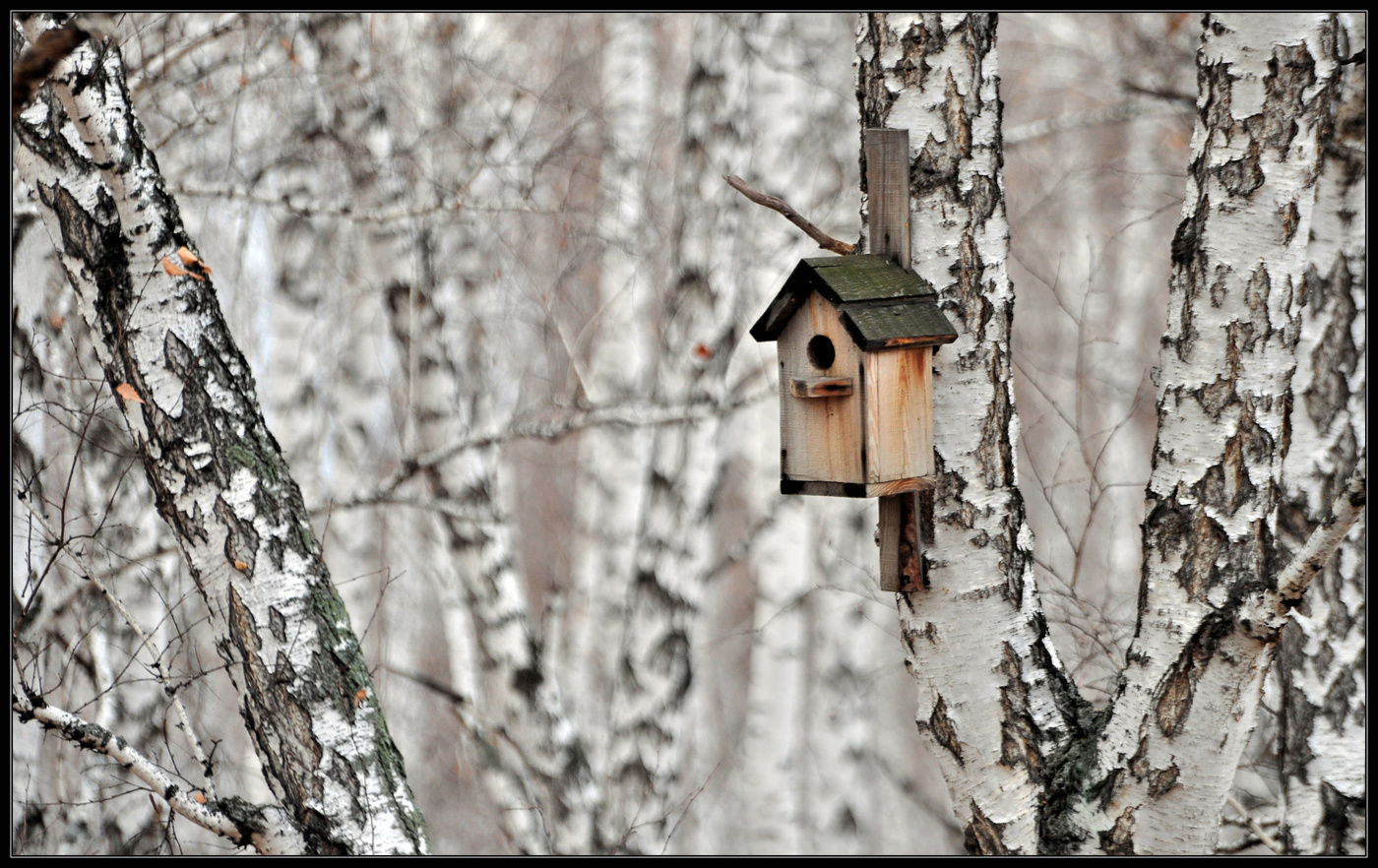 Низкий сезон