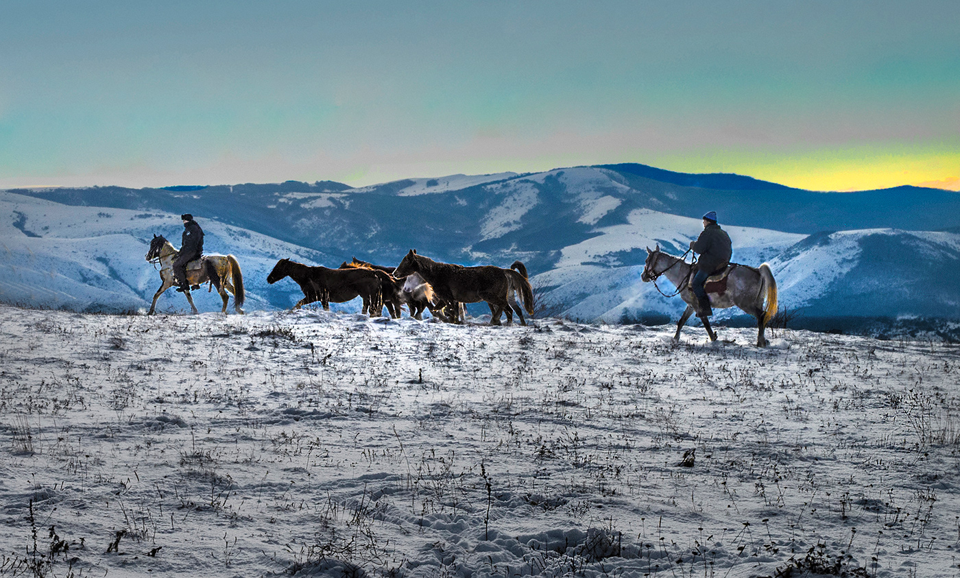 Зимний этюд