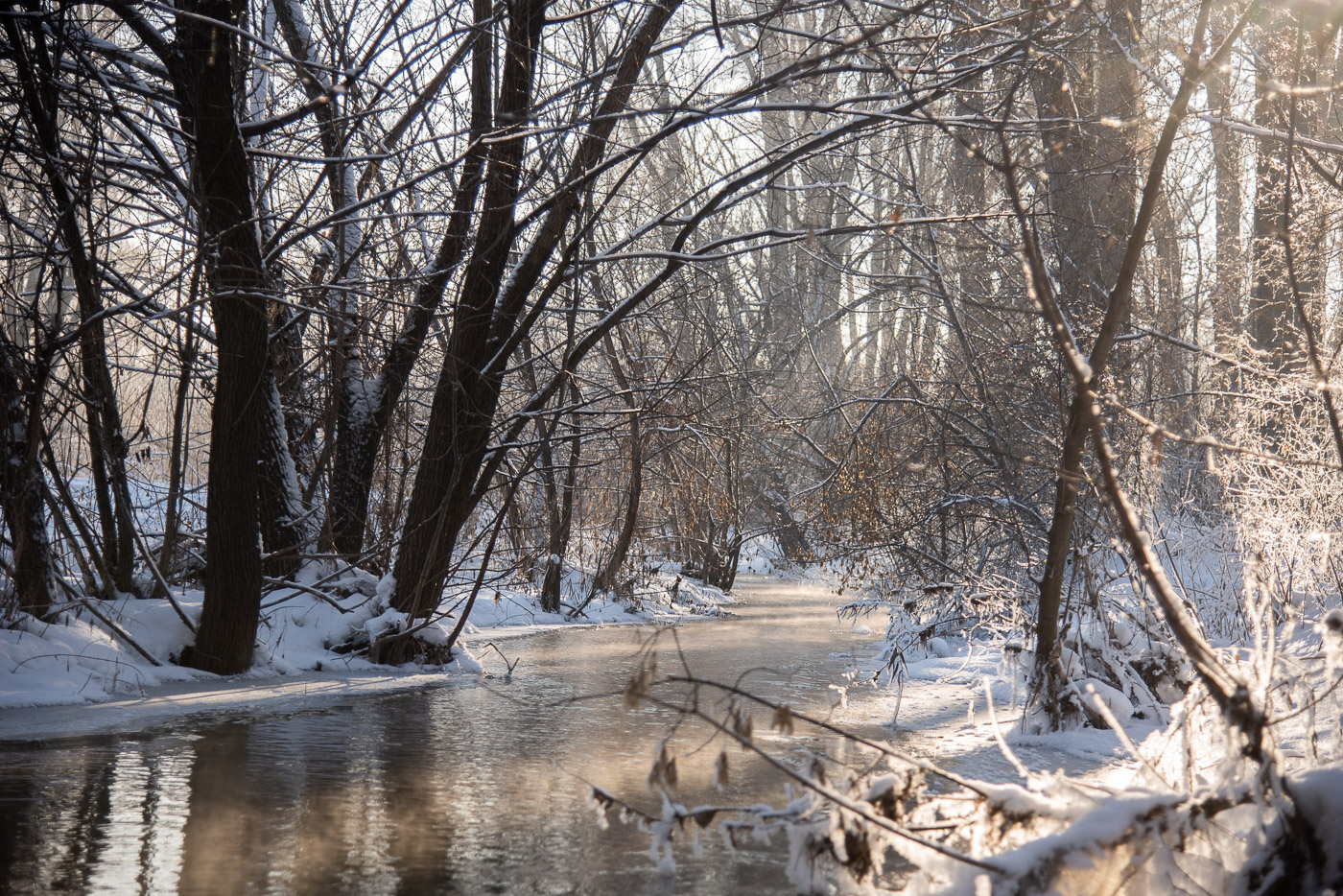 Зимняя река
