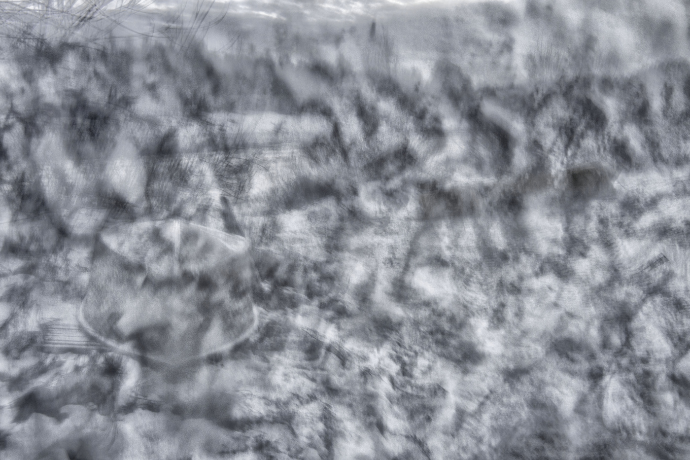 Жизнь вокруг