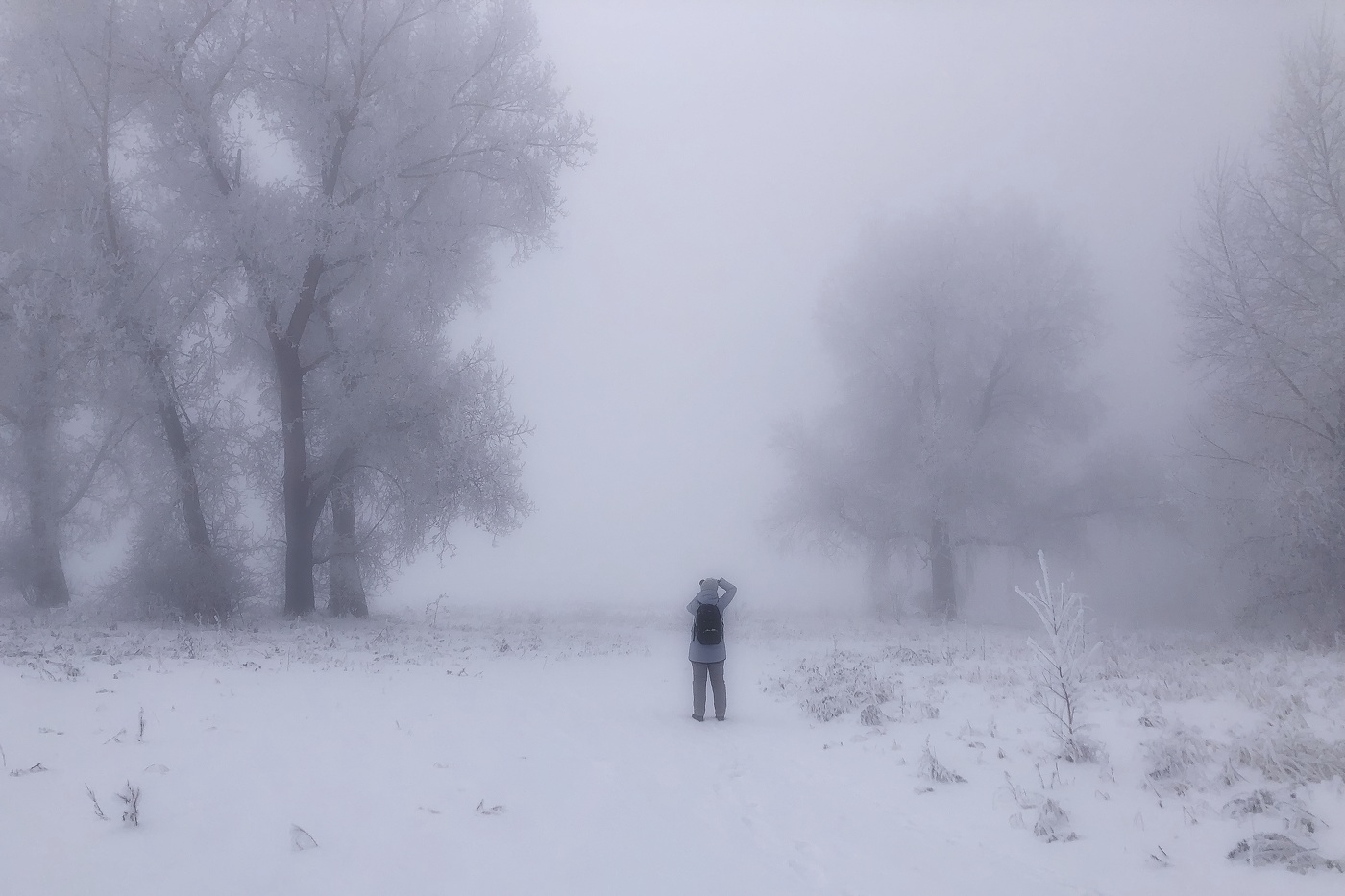 Природа Сибири. Зимняя сказка