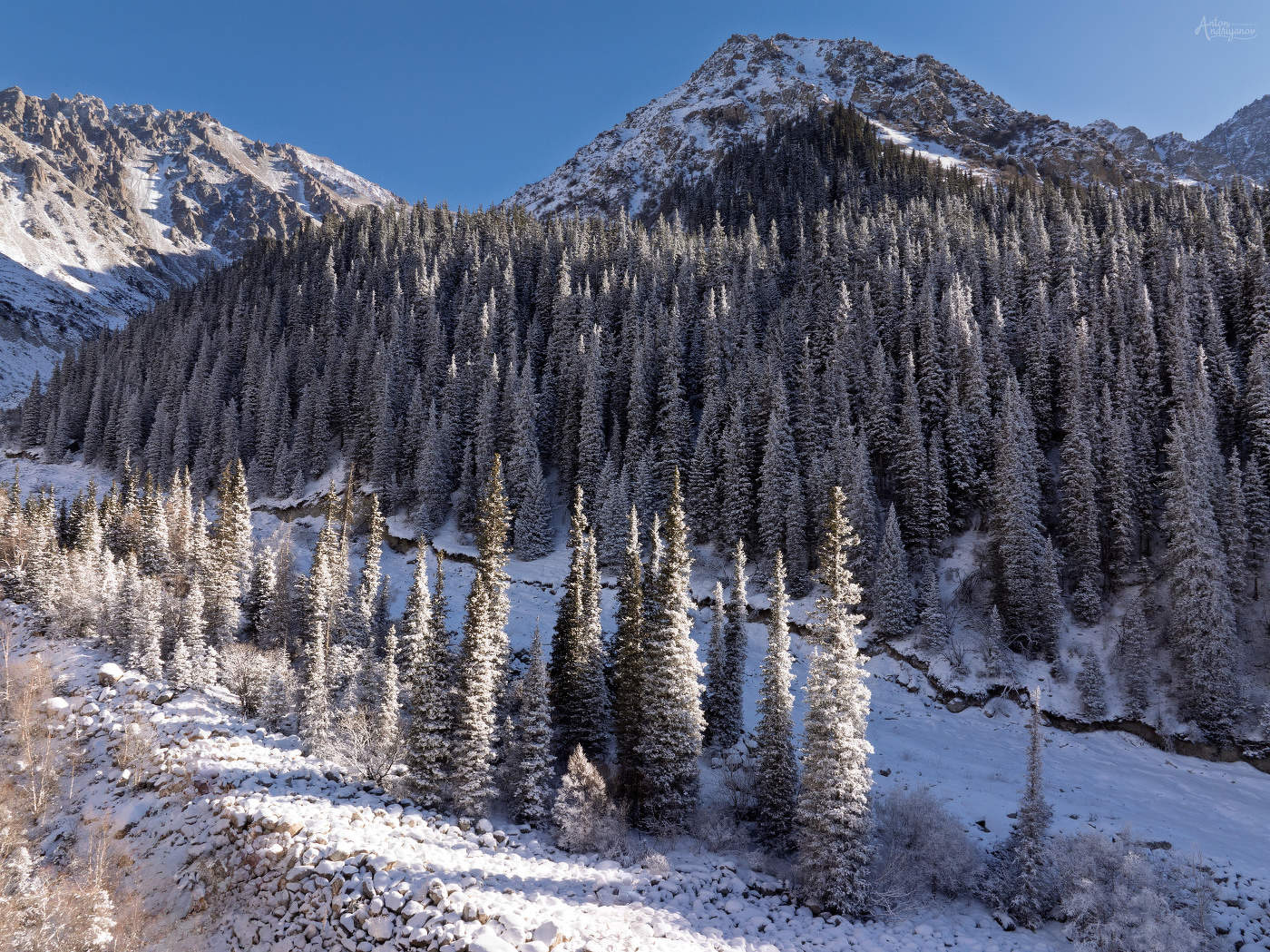 Предновогодняя погода
