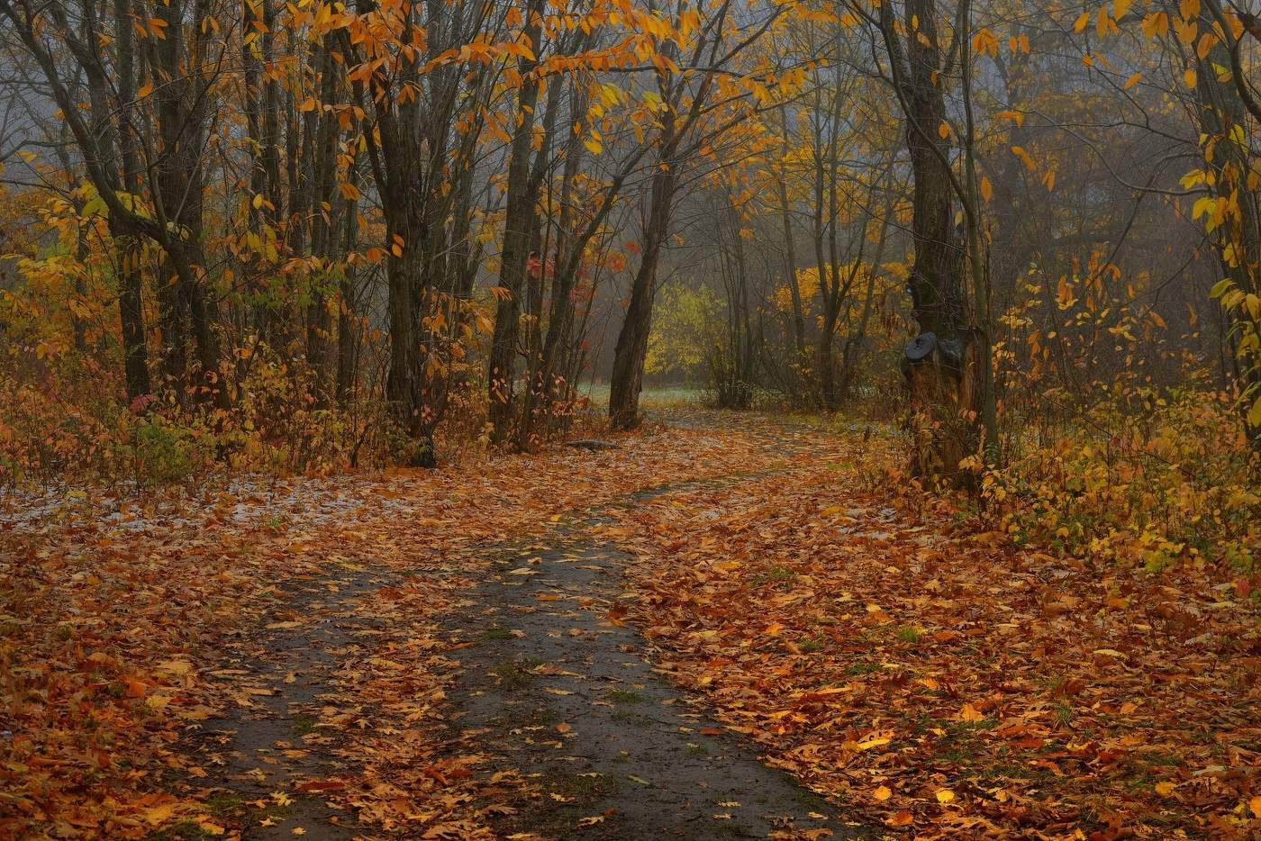 Осенняя дорога