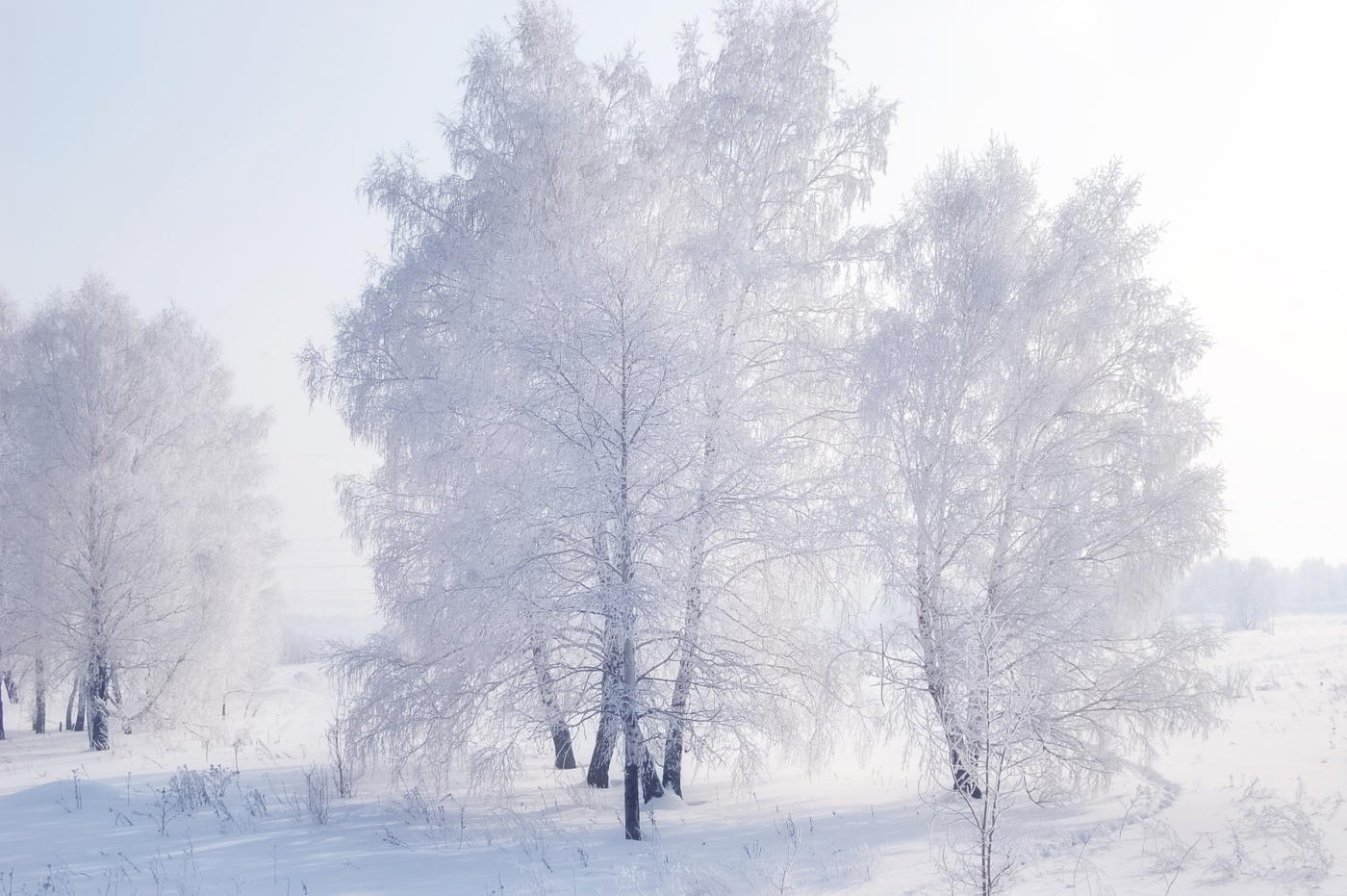 Зимняя нежность