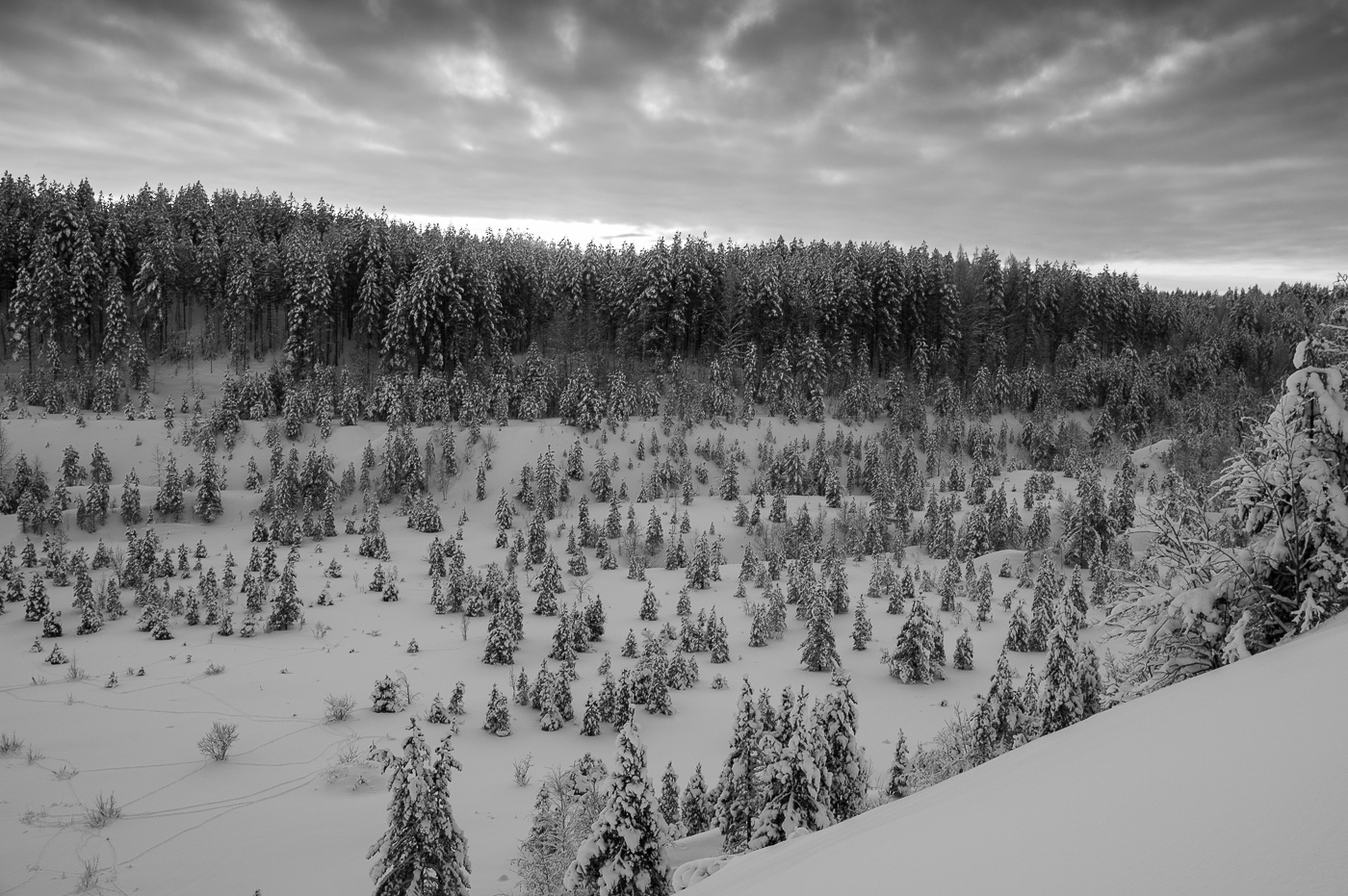 Последний день декабря