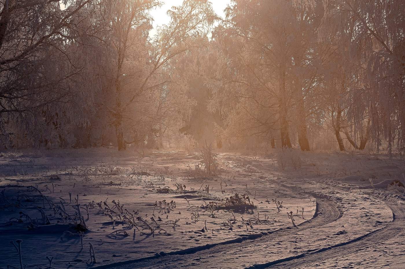 Свет нового дня.