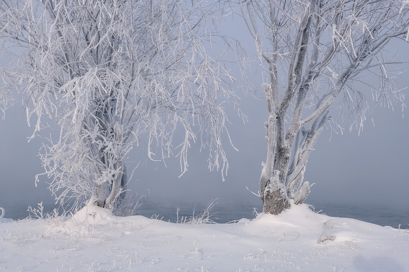 Морозный Енисей