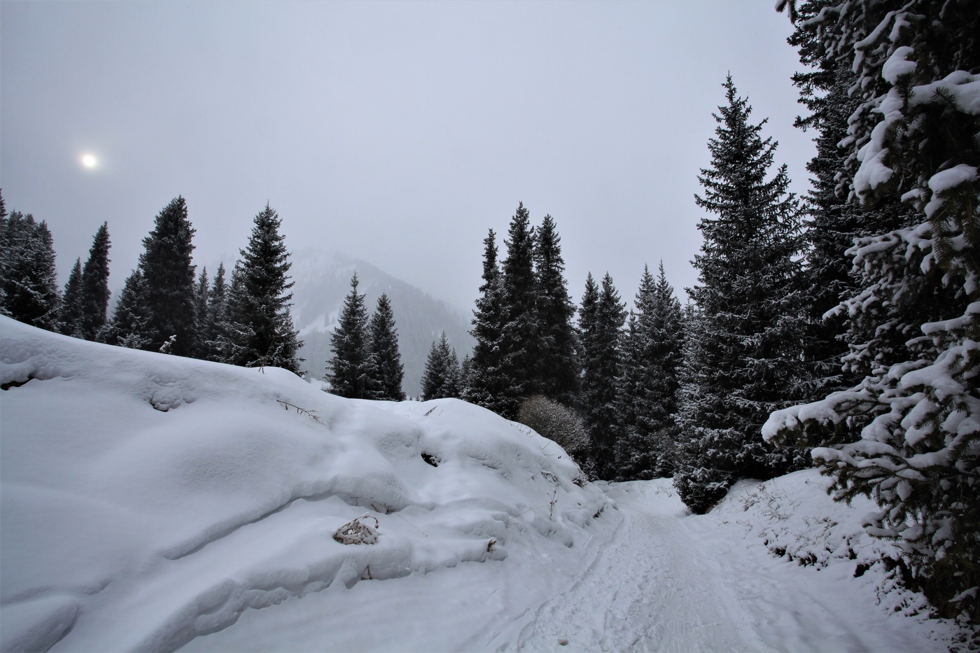 Скупое зимнее солнце