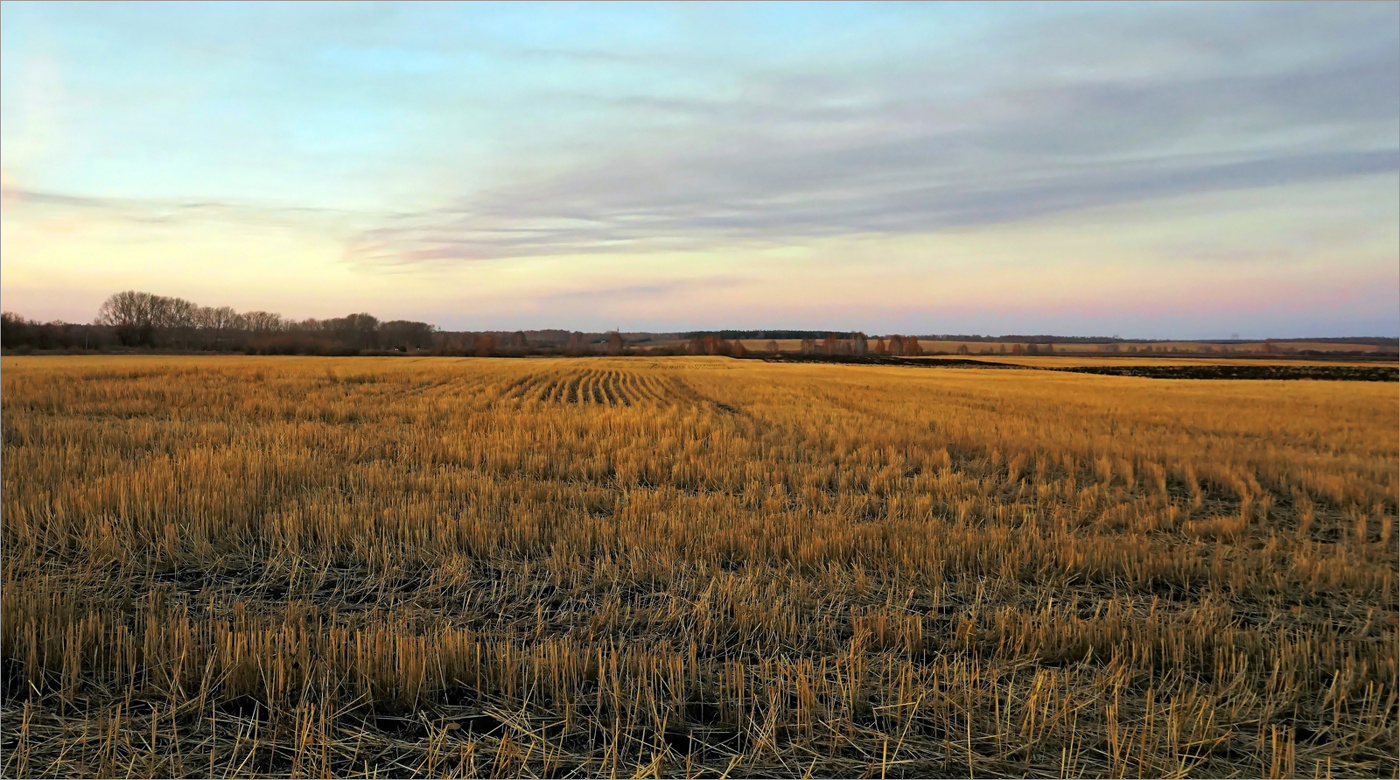 Осень в поле опустевшем...