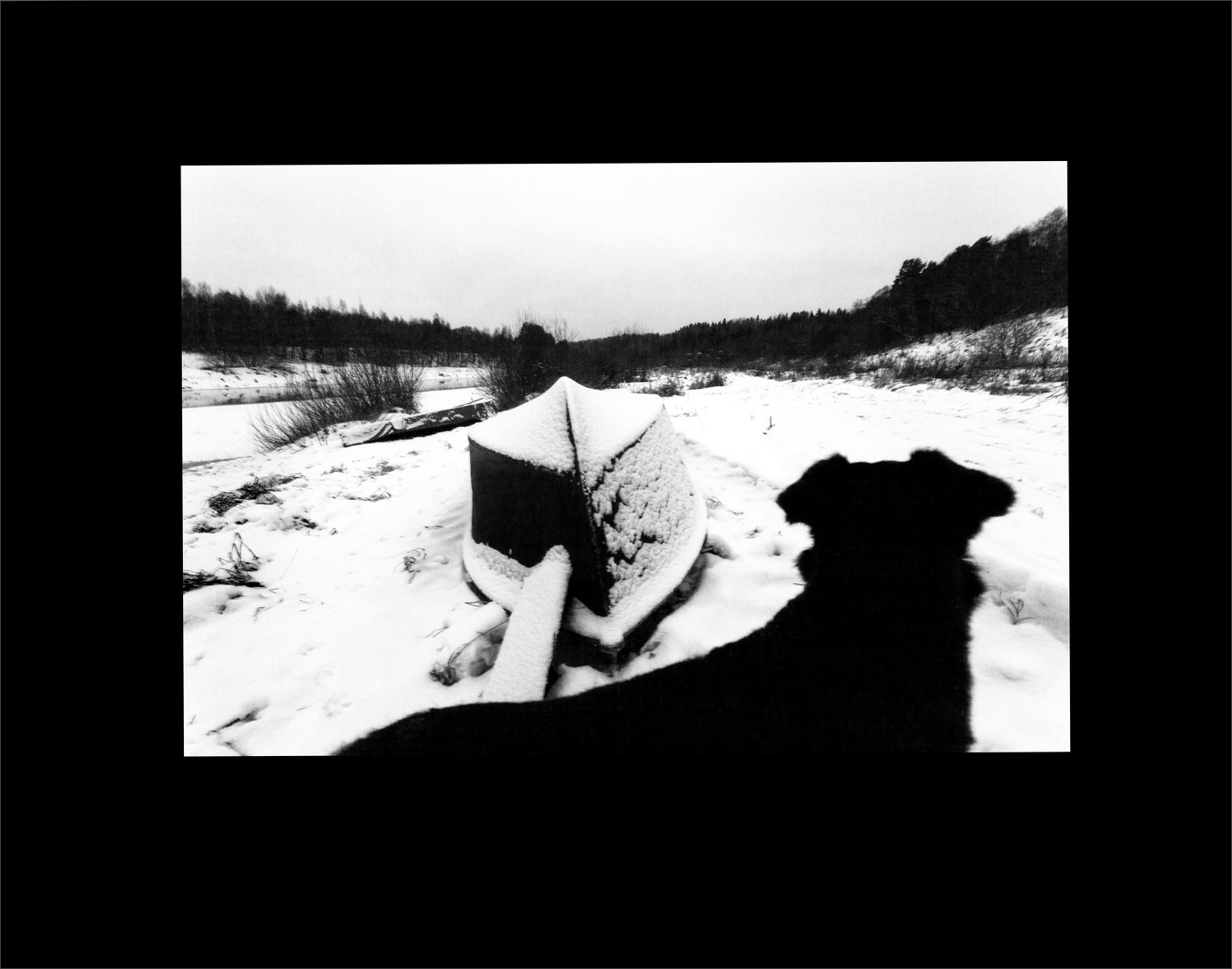 Жизнь вокруг