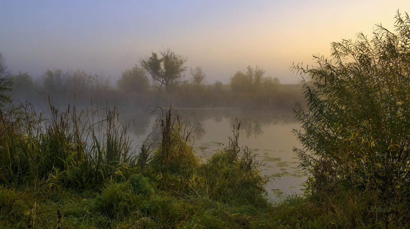 Утро в октябре.