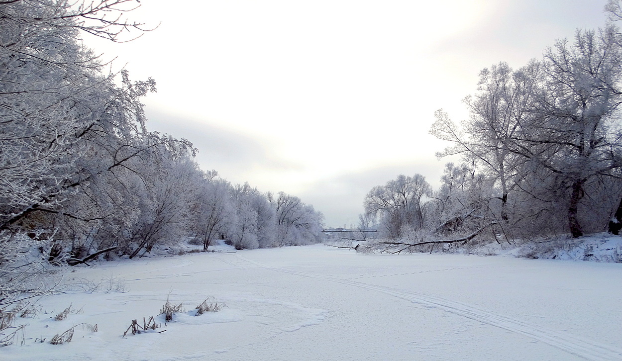 Зимнее утро порадовало красотой