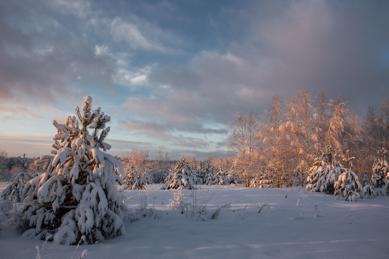 На исходе дня