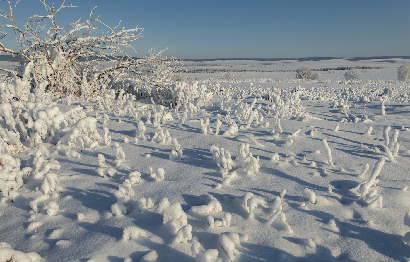 Подснежники
