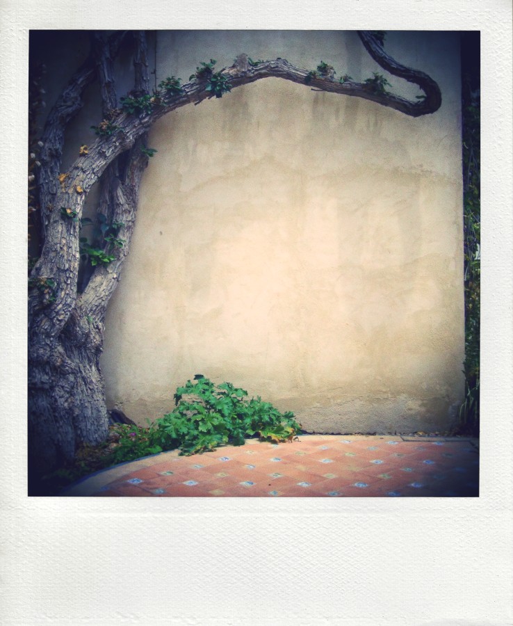 В конце пути к неверной славе