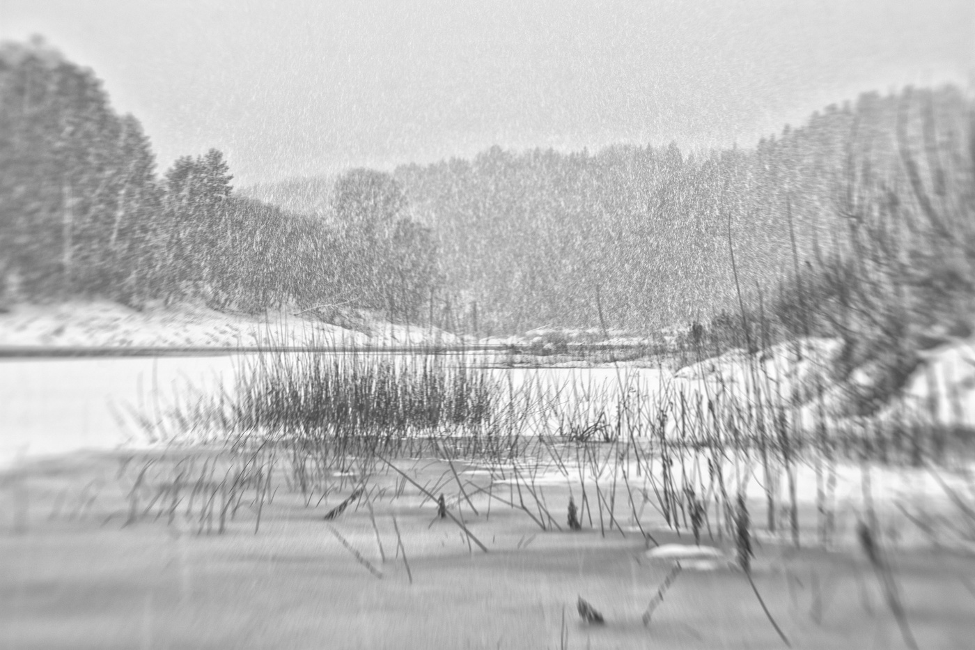 Жизнь вокруг