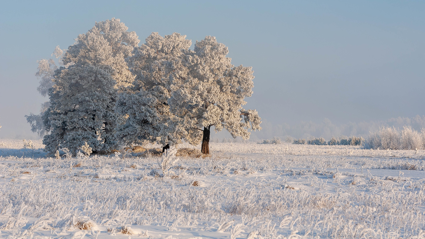 Чем пахнет зима?.. Чудом!.. Ведь в ней всё сказочно!