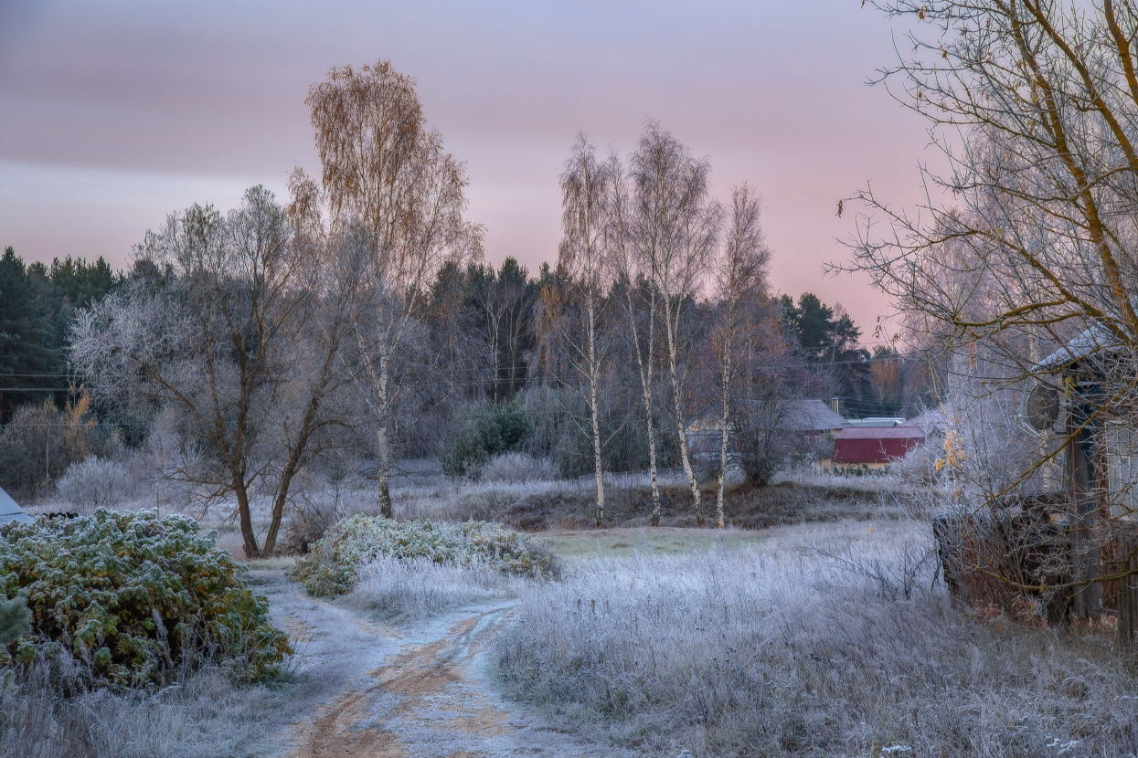 Морозное утро