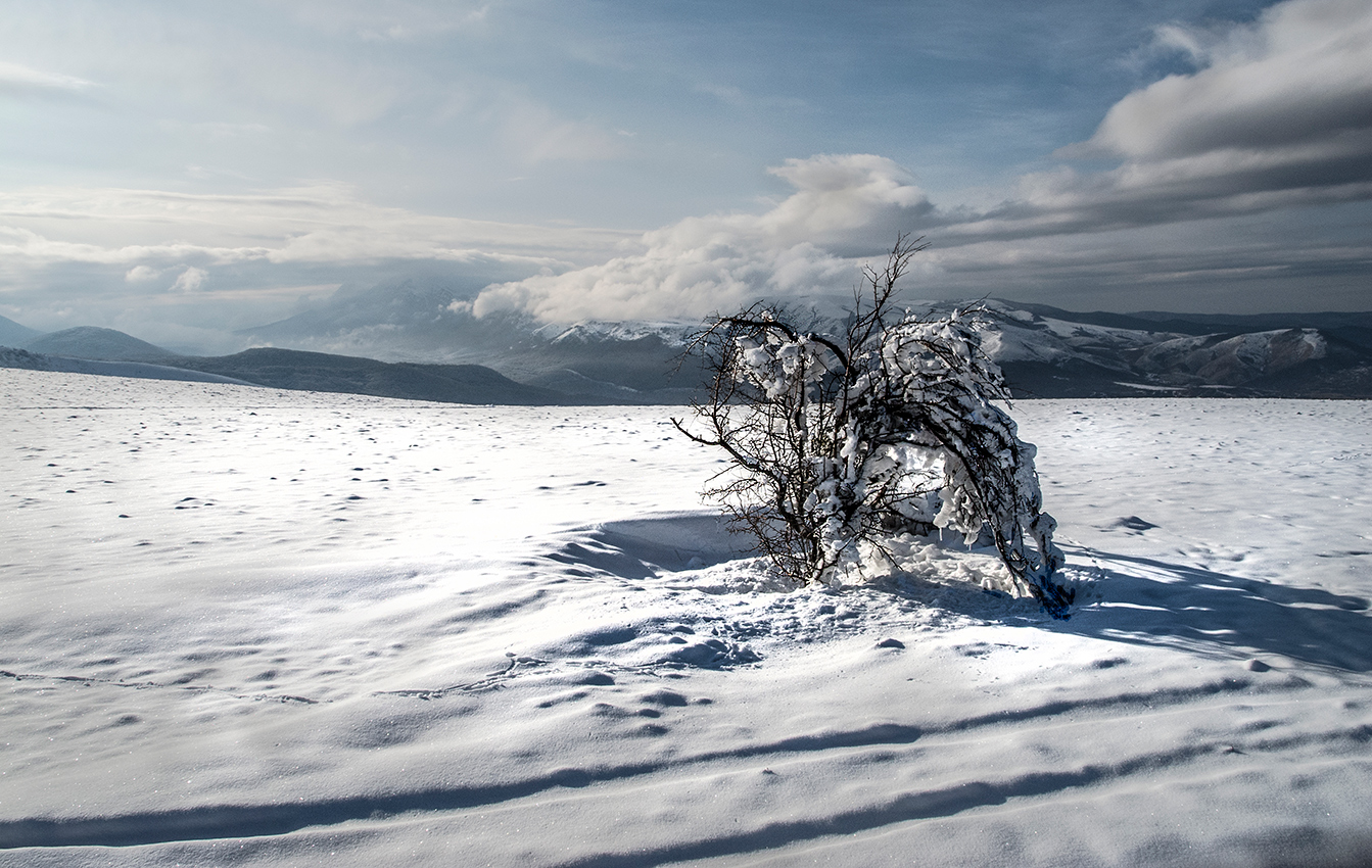 Одинокость