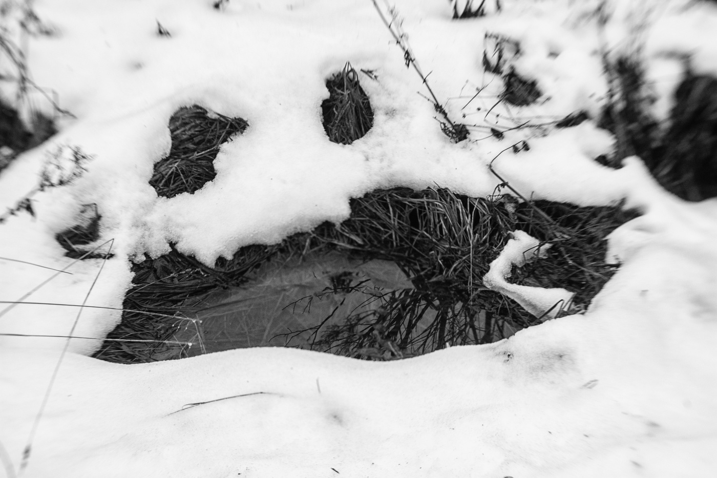 Жизнь вокруг