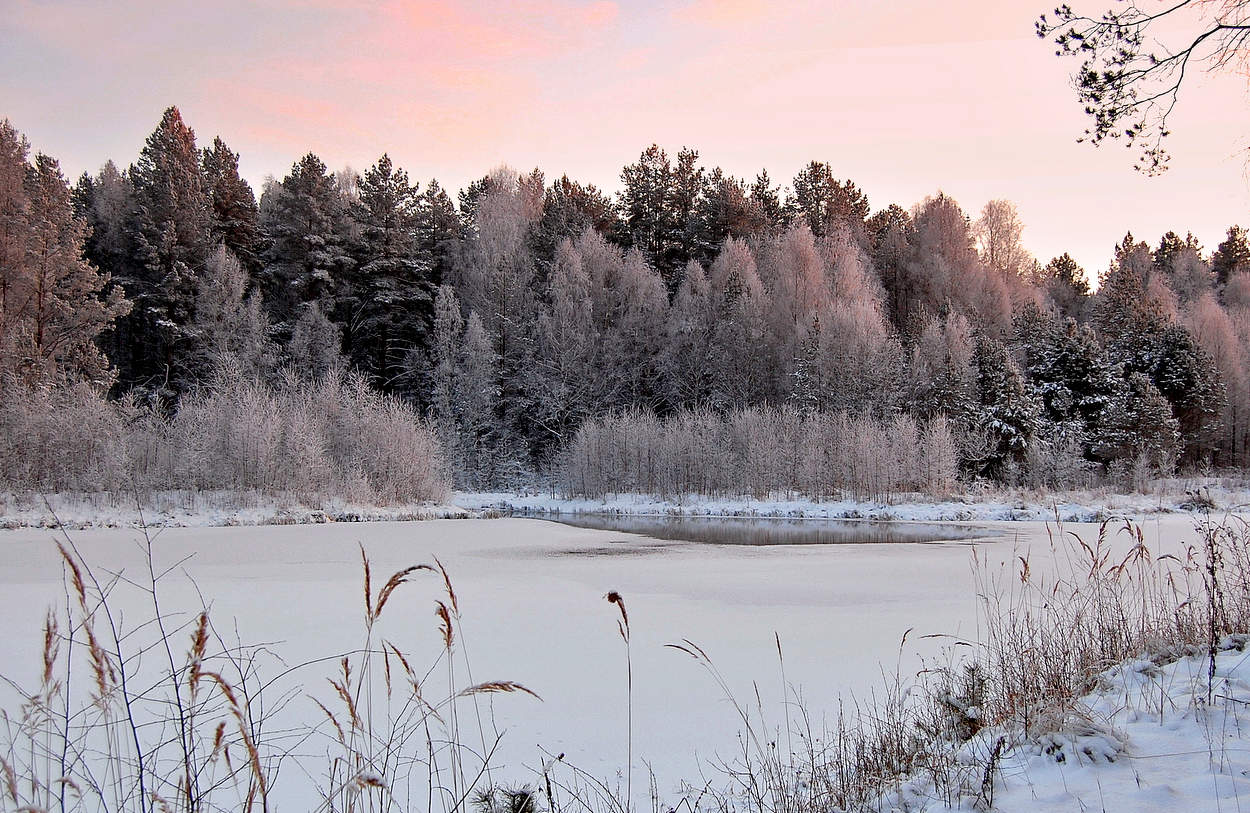 Розовый морозный закат
