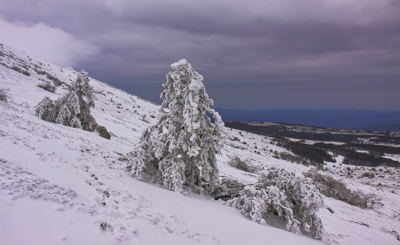"На севере диком..."