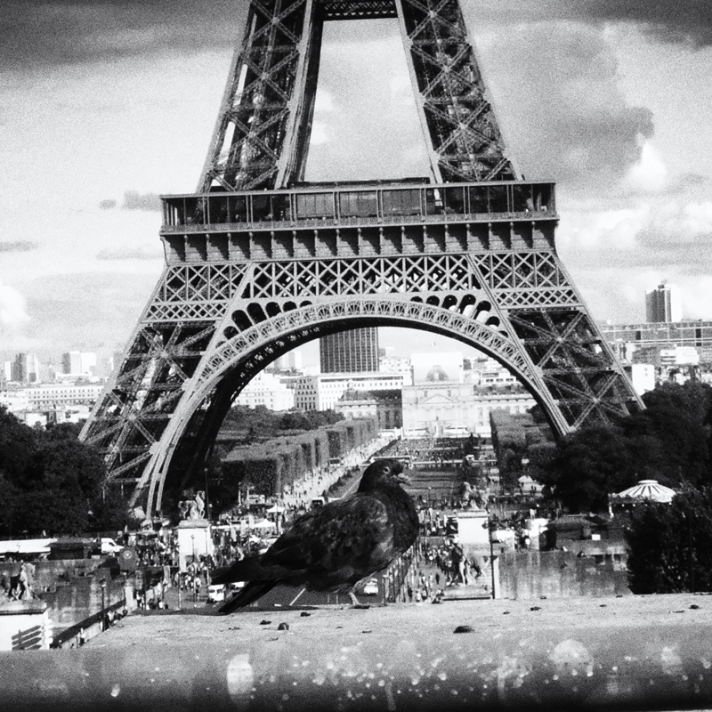 Таким вот было суждено