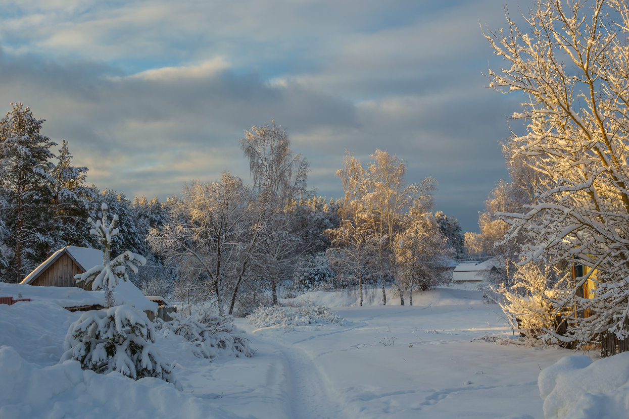 Первые лучи