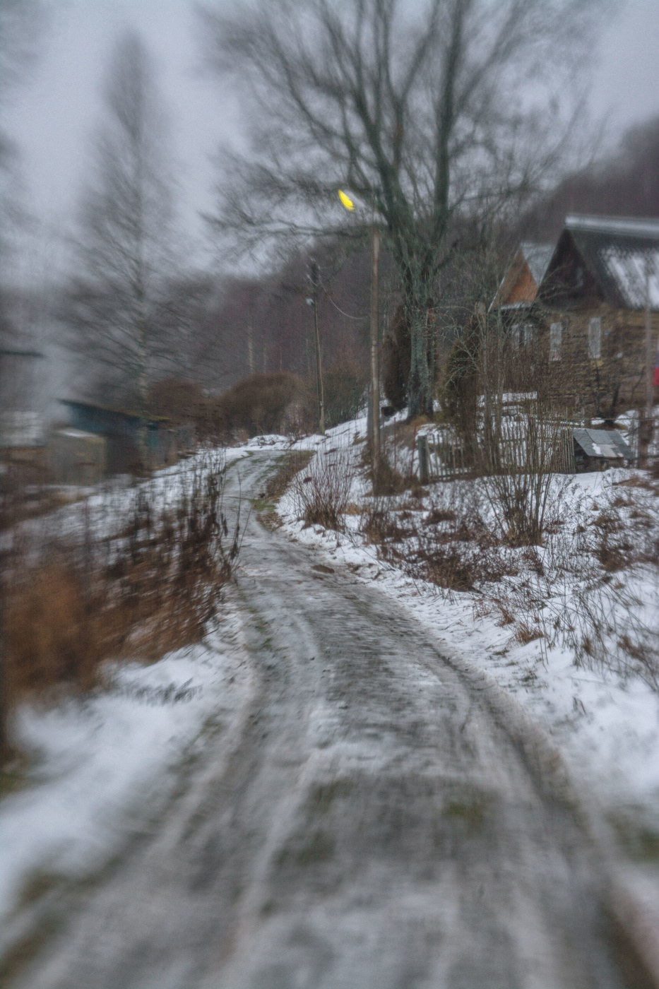 Жизнь вокруг