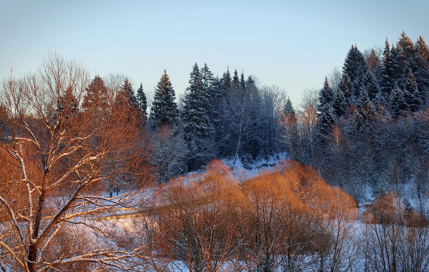 Золотой солнечный день
