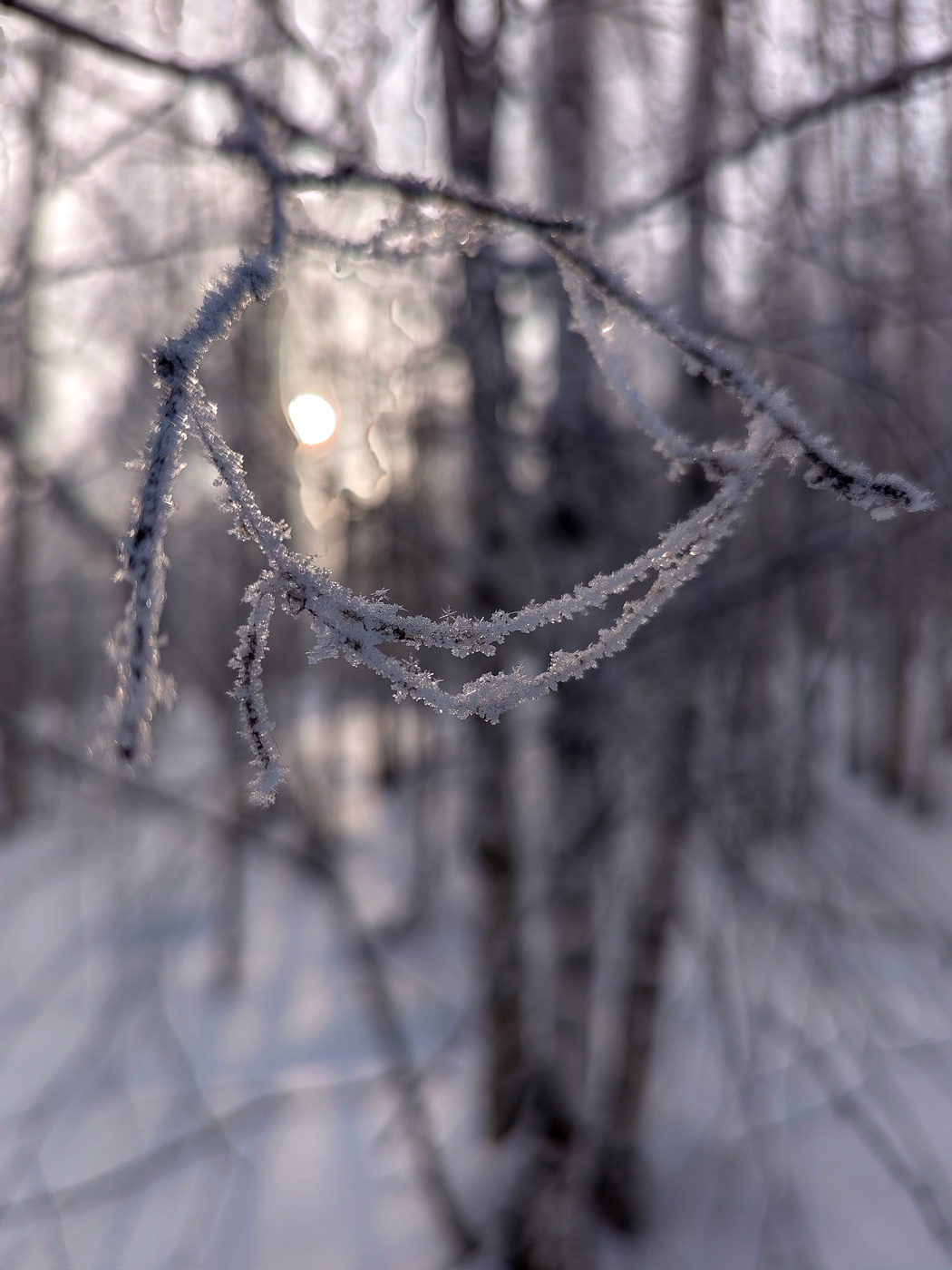 Улыбка зимы