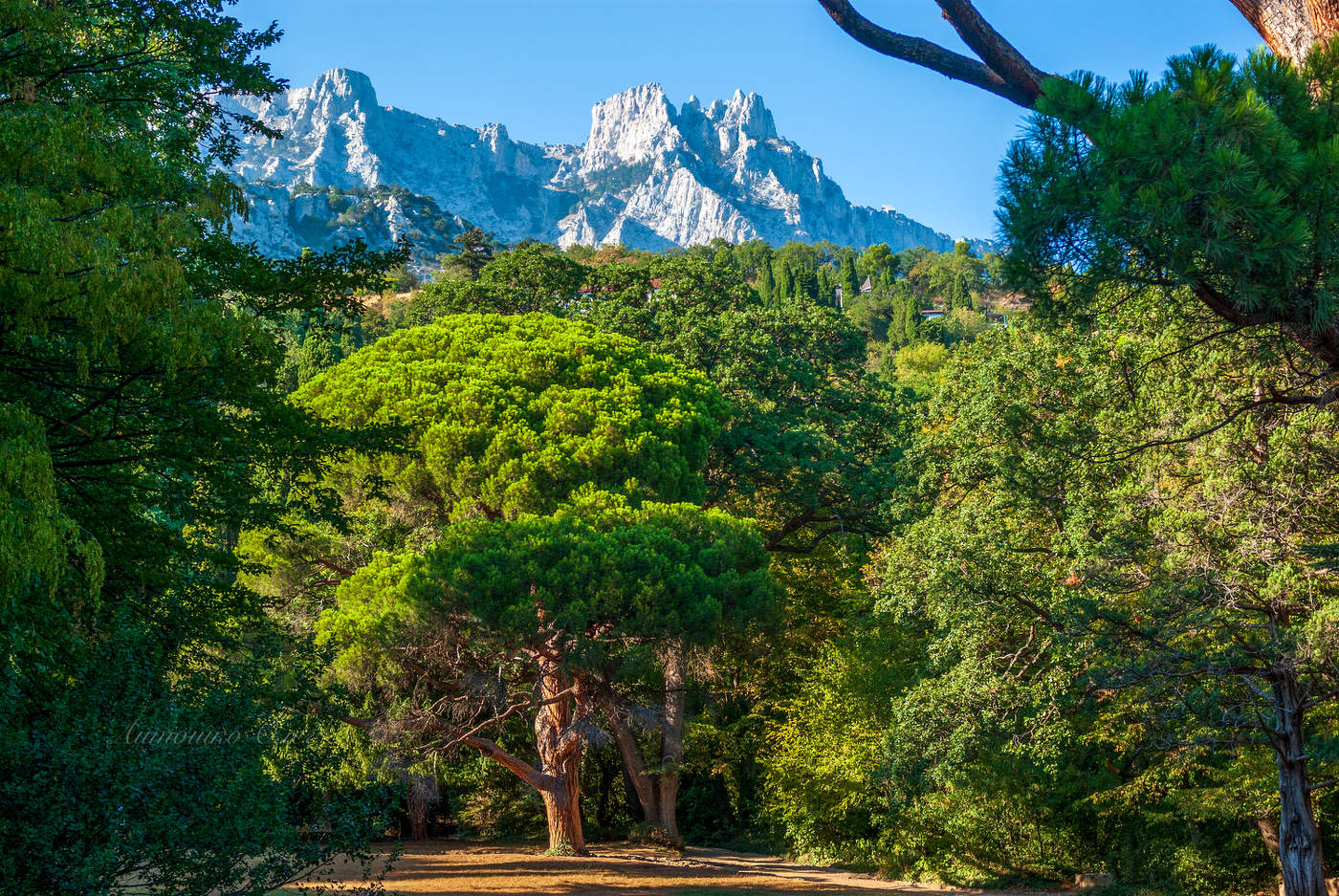 Ещё один вид Ай-Петри.