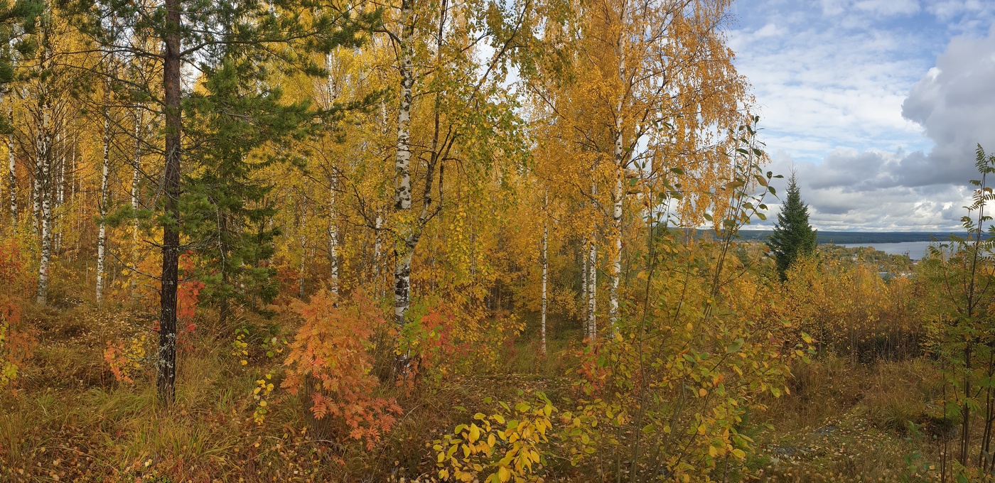 Осенний экстаз