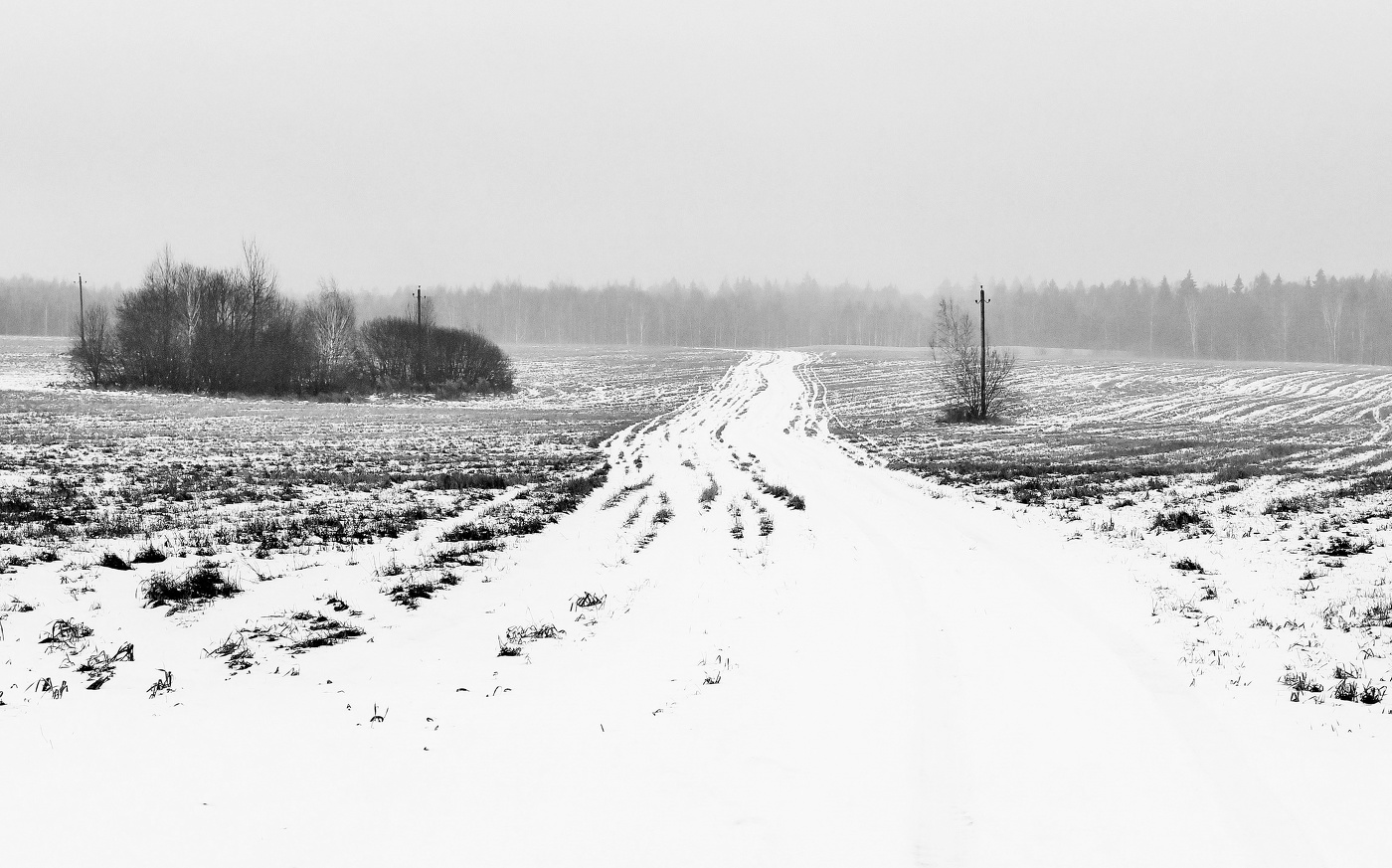 "Кто долго жил в глуши печальной ..."