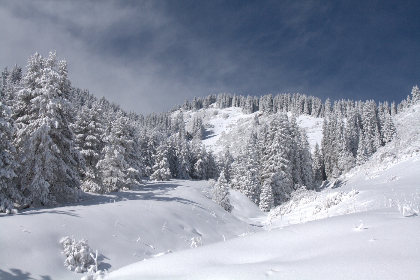 С Наступающим ! Мира и счастья !