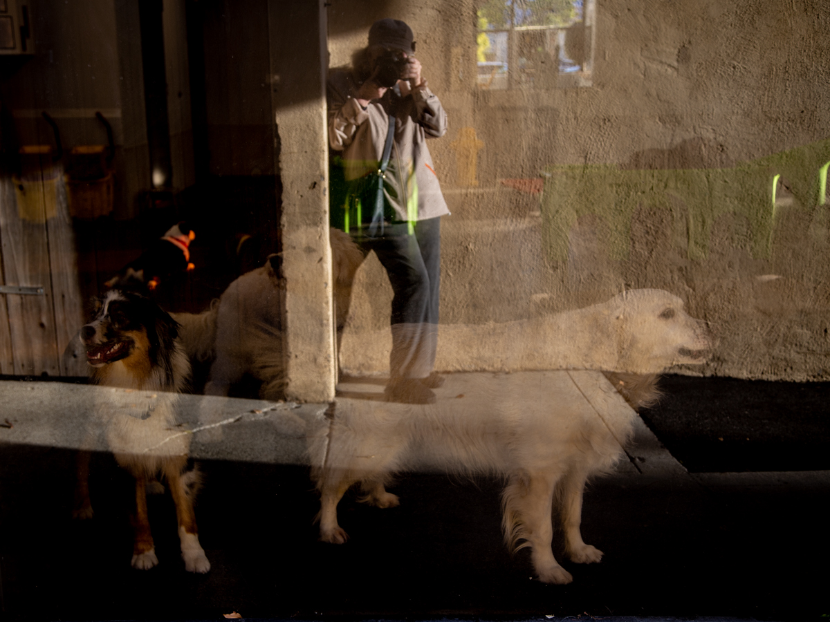 Свой взгляд