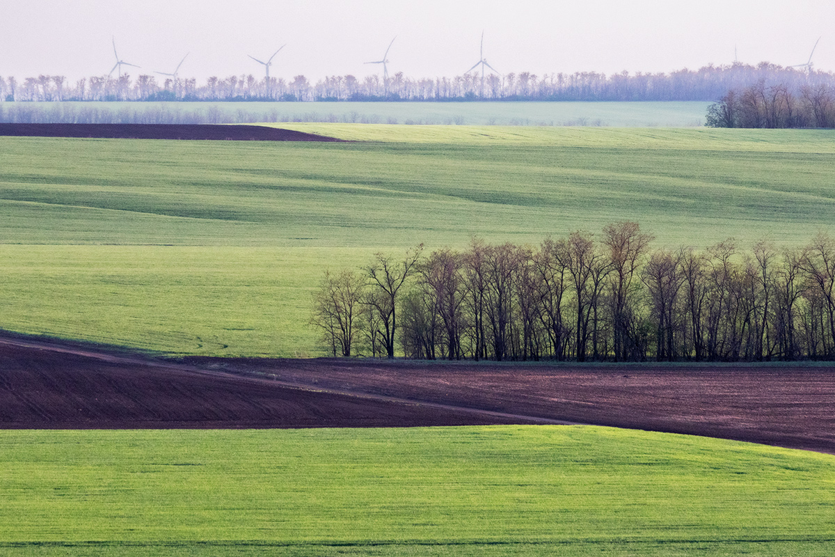 В апрельских полях