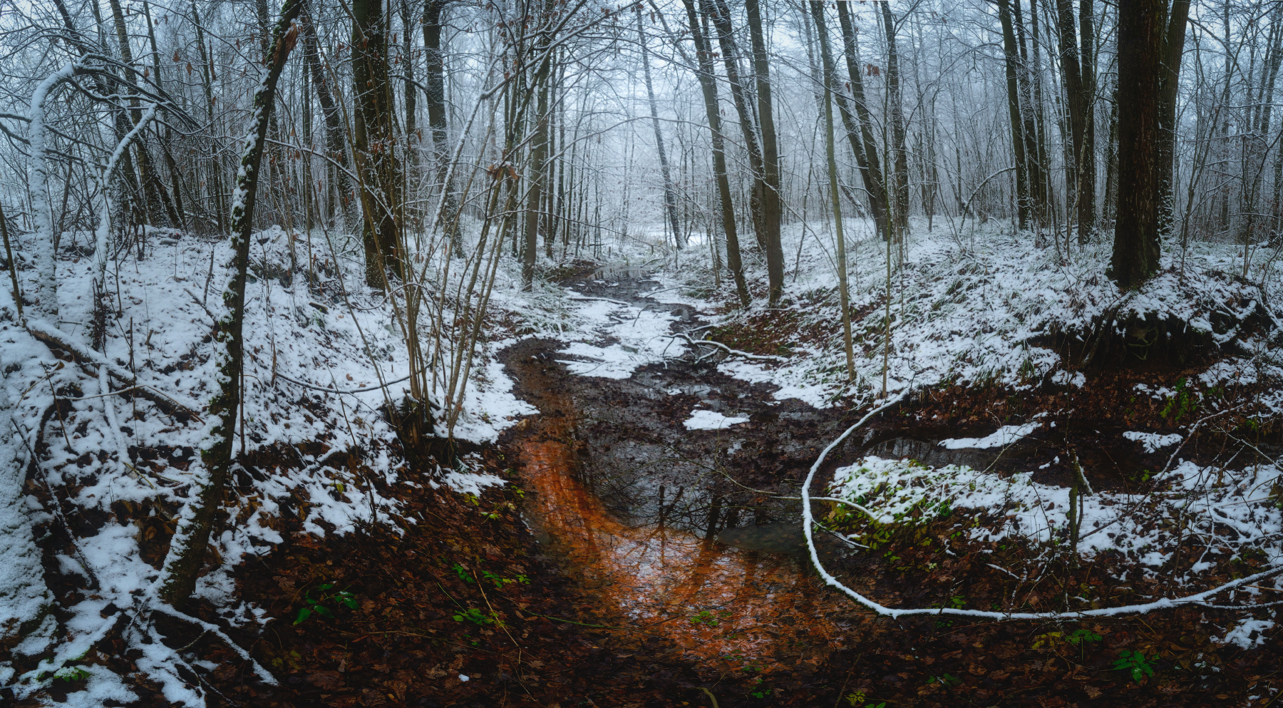 Ручей в декабрьском лесу