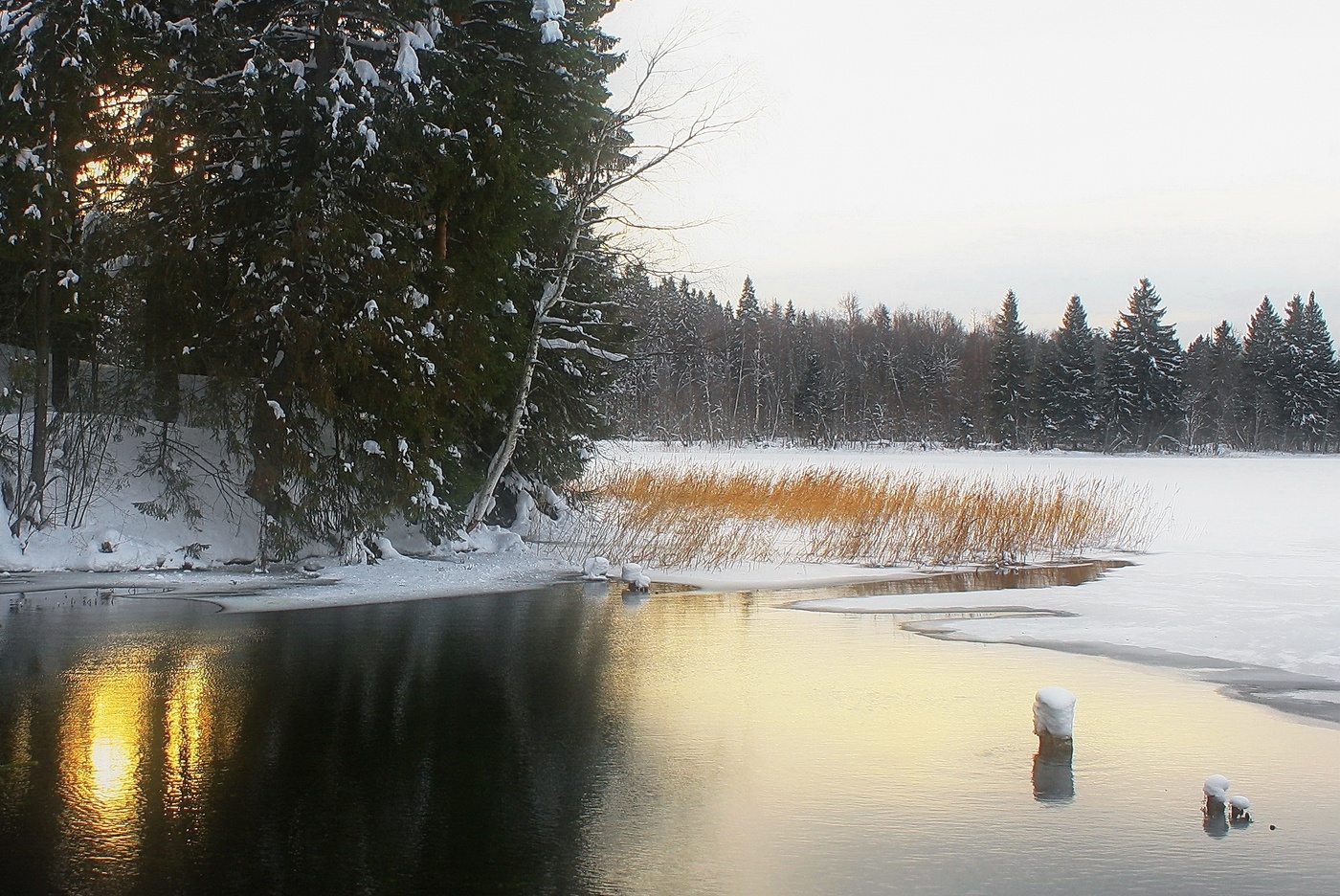 Вечер у озера Валдай