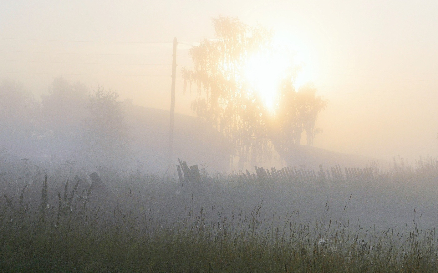 Утро в деревне ..