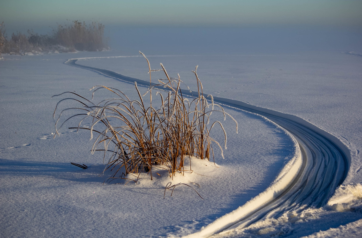 Солнечный денек