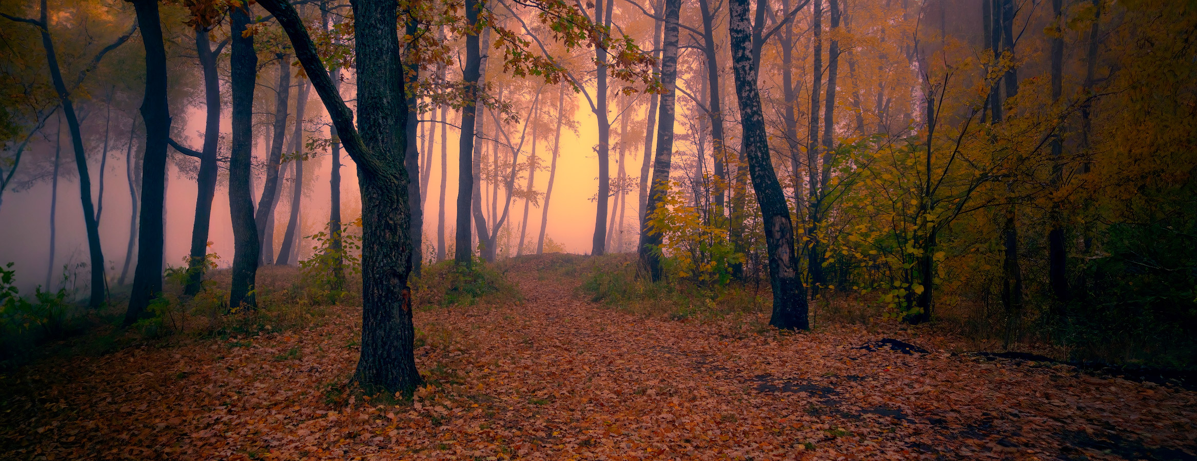 Утро в осеннем лесу