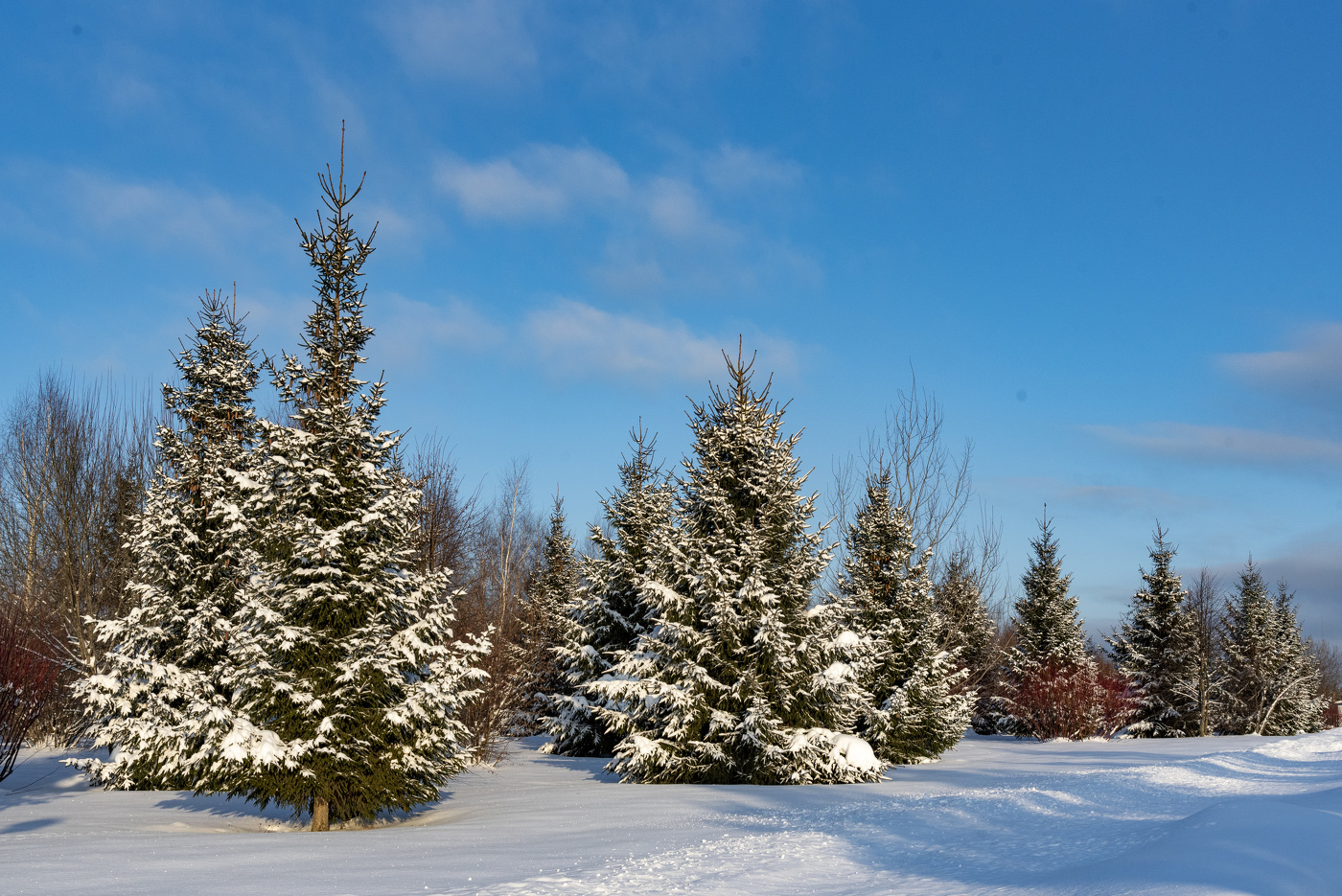 В ожидании НГ