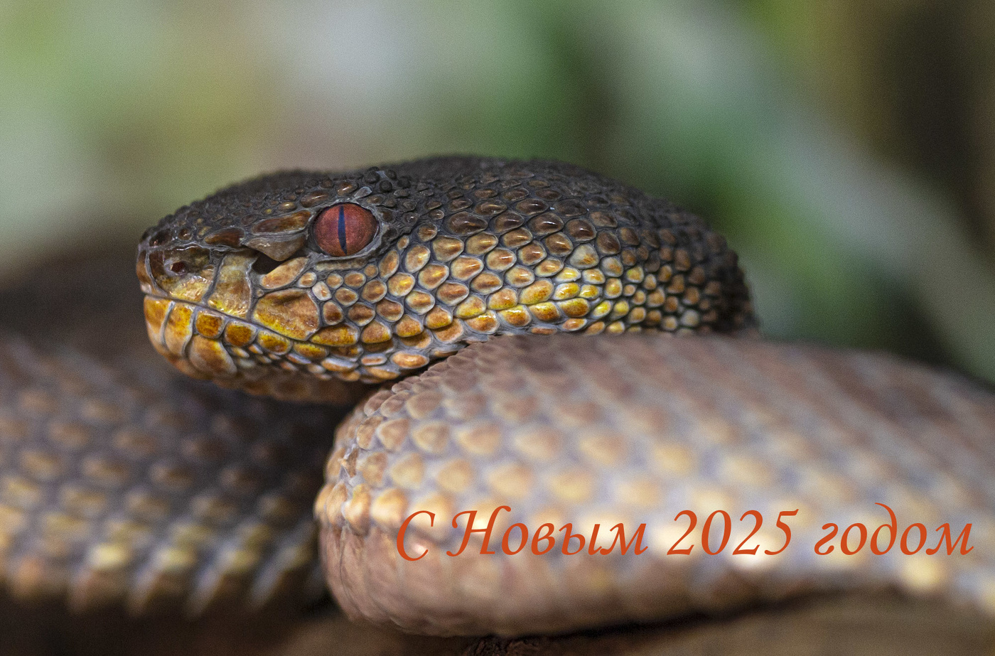 Побольше оптимизма