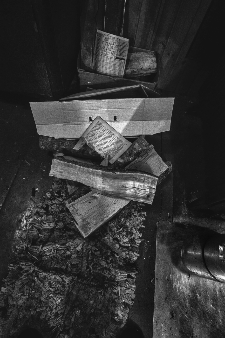 Жизнь вокруг