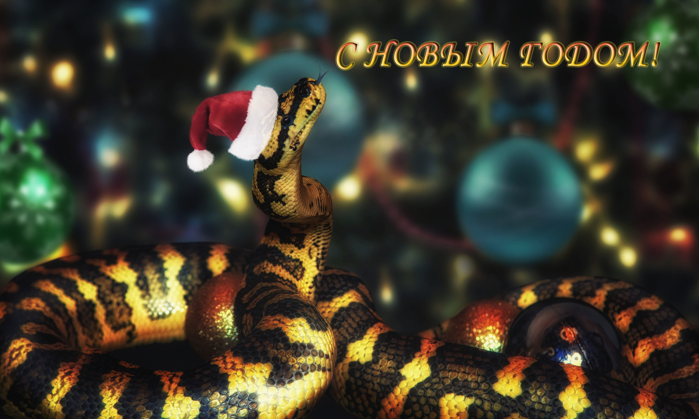 С Новым годом!