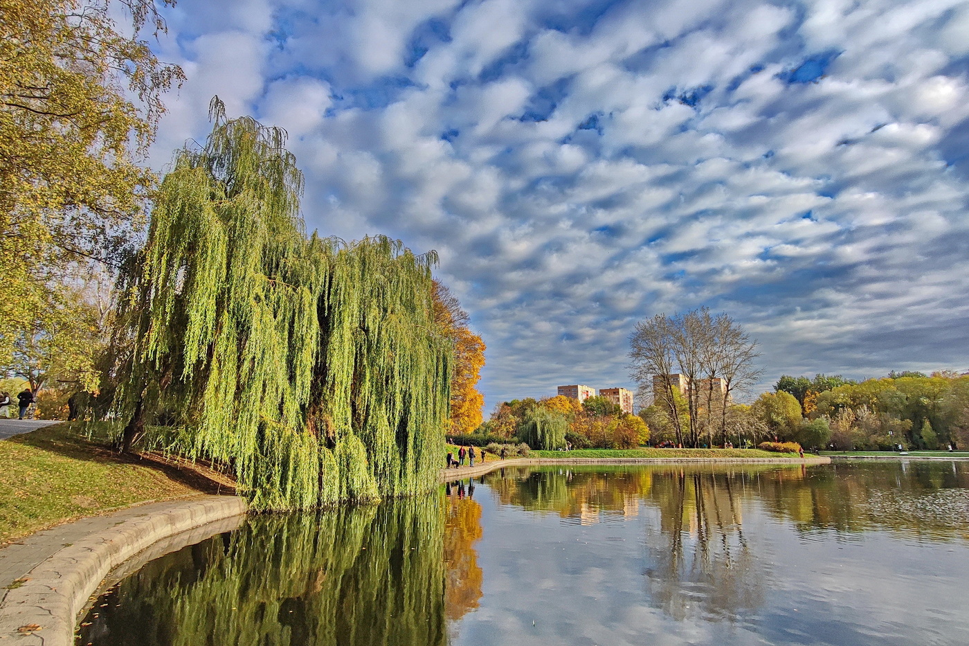 Осень в парке Дружбы